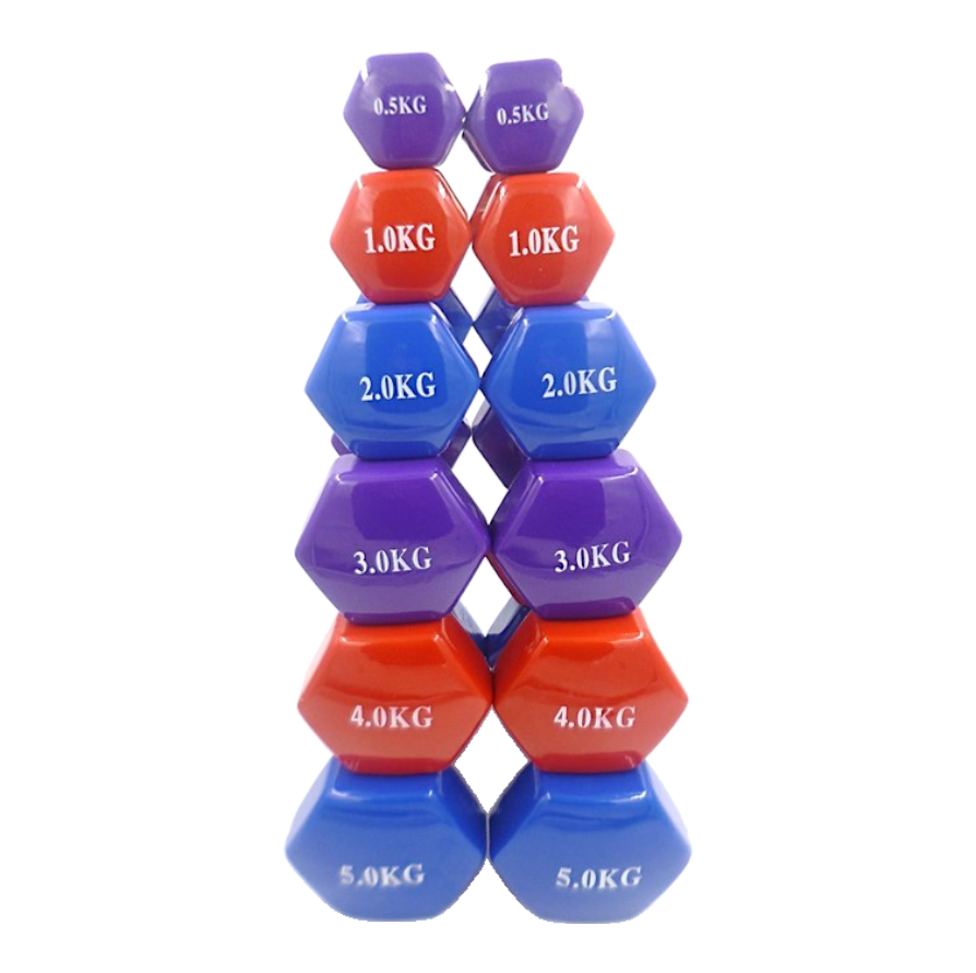 Vinyl Dumbbell Pair Set Iron Neoprene 36-5 - HealVia