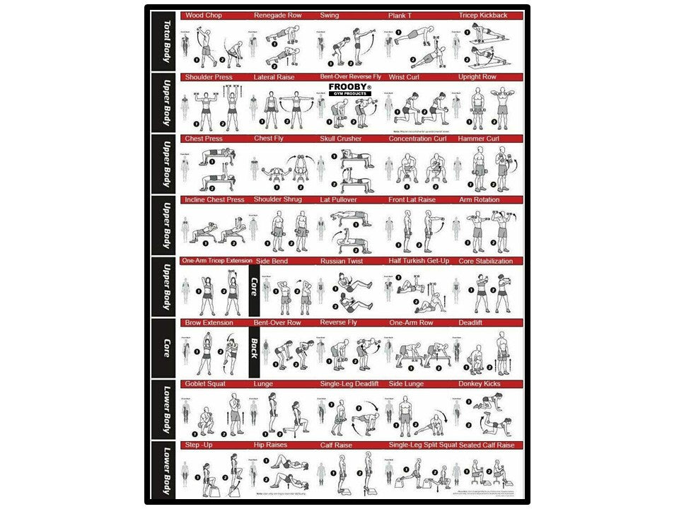 Vinyl Dumbbell Pair Set Iron Neoprene 36-5 - HealVia