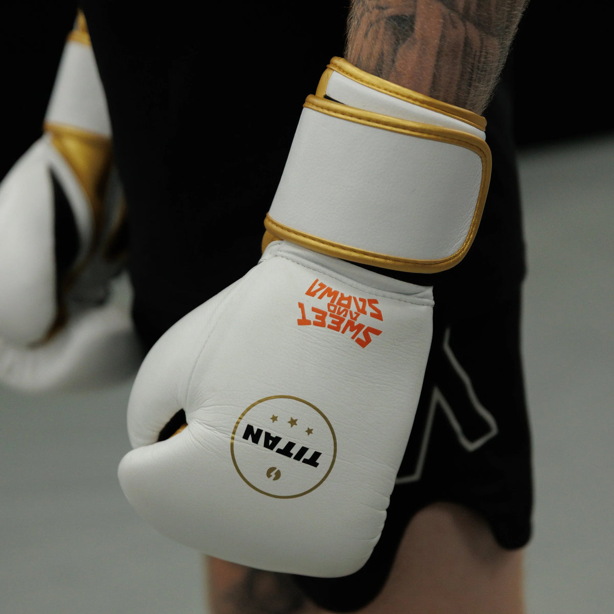 Velocity 3.0 Velcro Boxing Gloves – Polar White