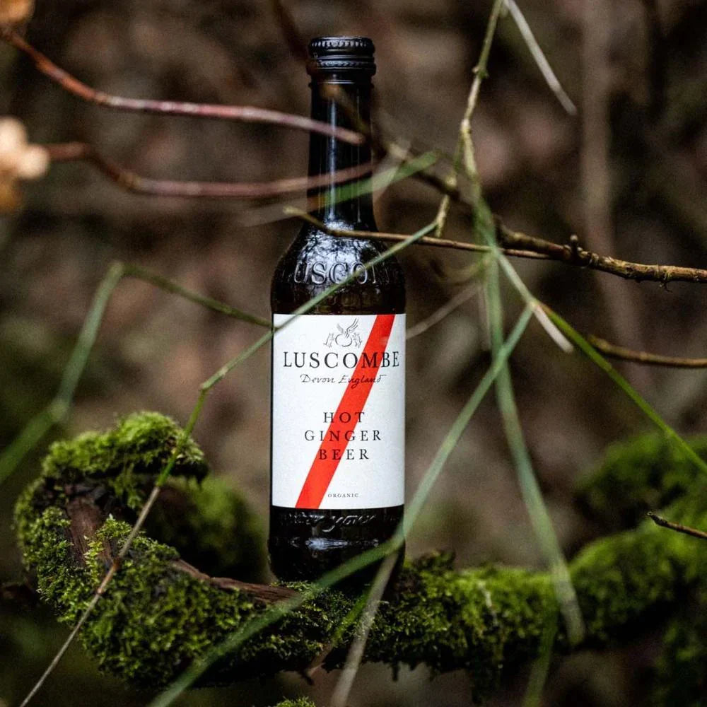 Hot Ginger Beer 270ml - Organic - Luscombe