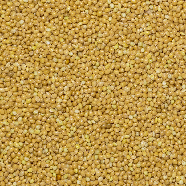 Grano di miglio