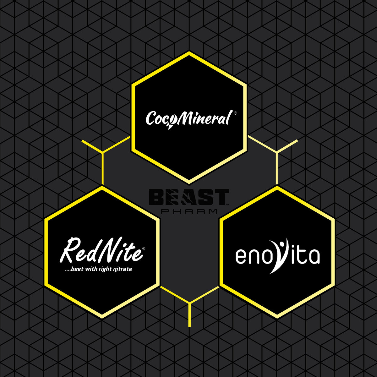 HYDRO Hydration and Electrolytes