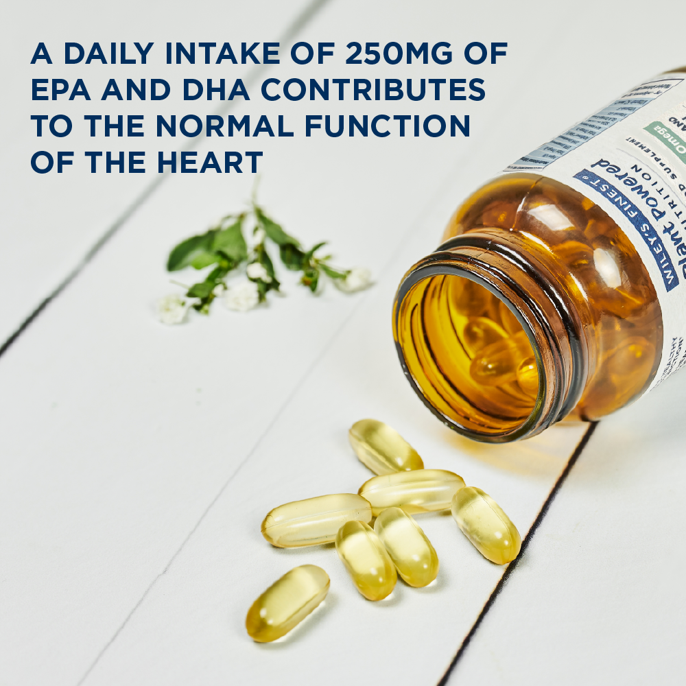 CATCHFREE OMEGA Vegan Omega-3 Capsules - HealVia