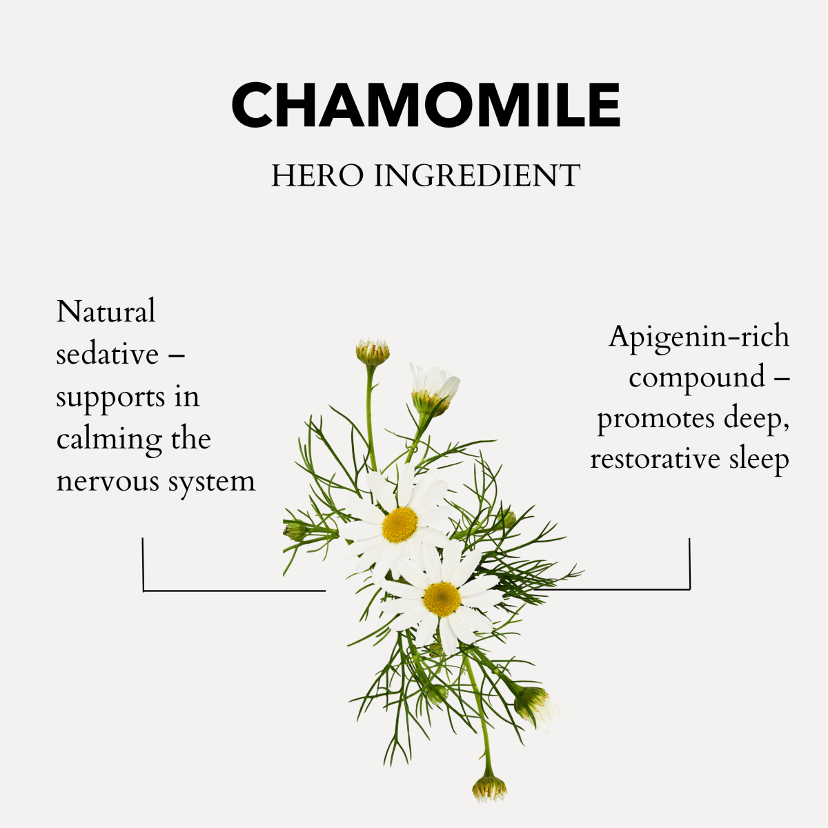Calming Bath & Shower Oil with Roman Chamomile β Sleep & Stress Relief