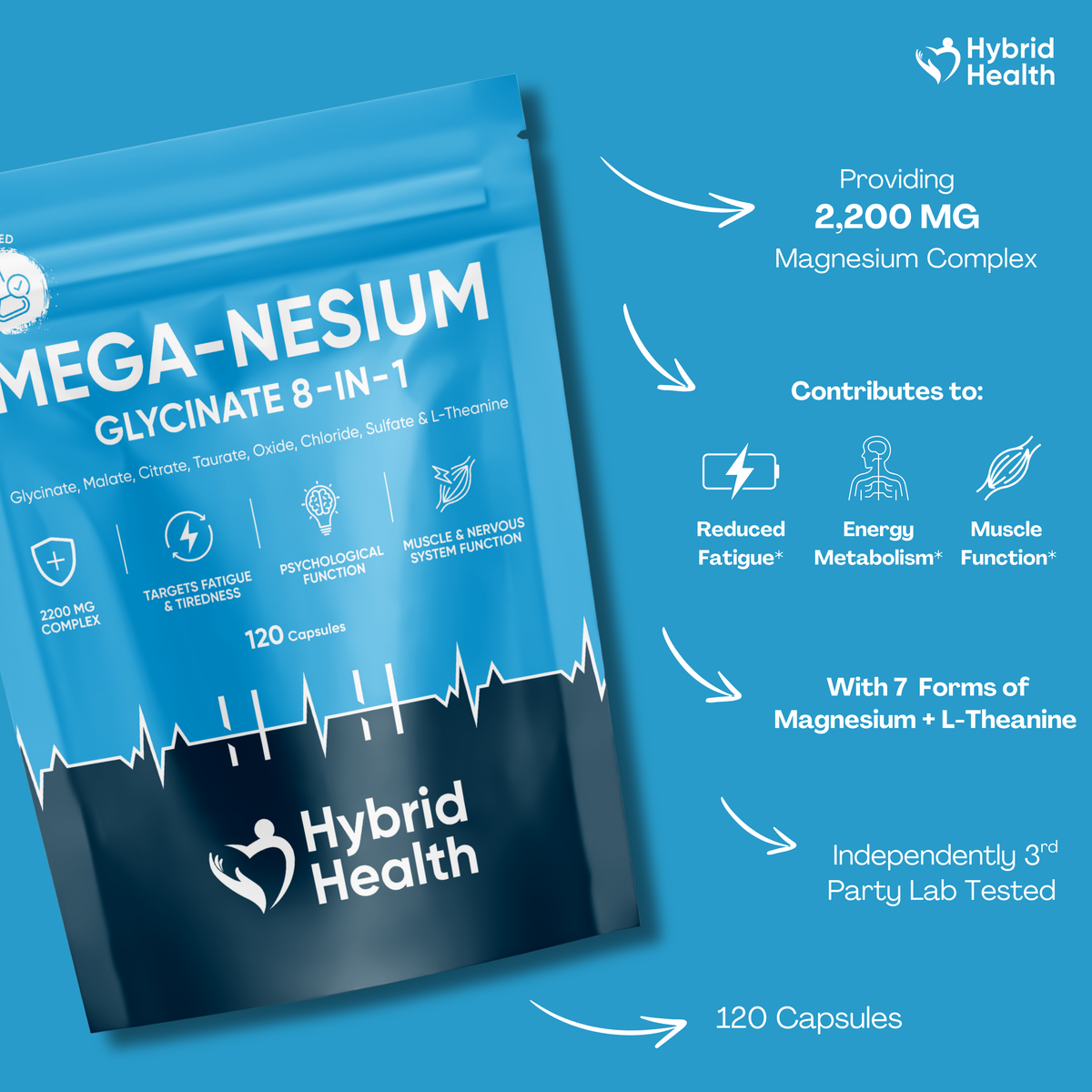 The Everyday Wellness Bundle