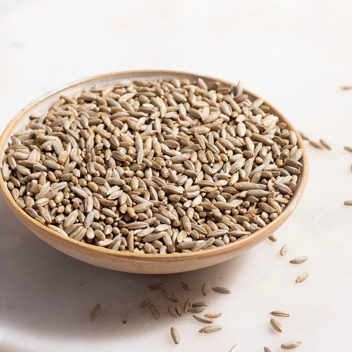 Organic Rye Grain - Serious Grains - HealVia