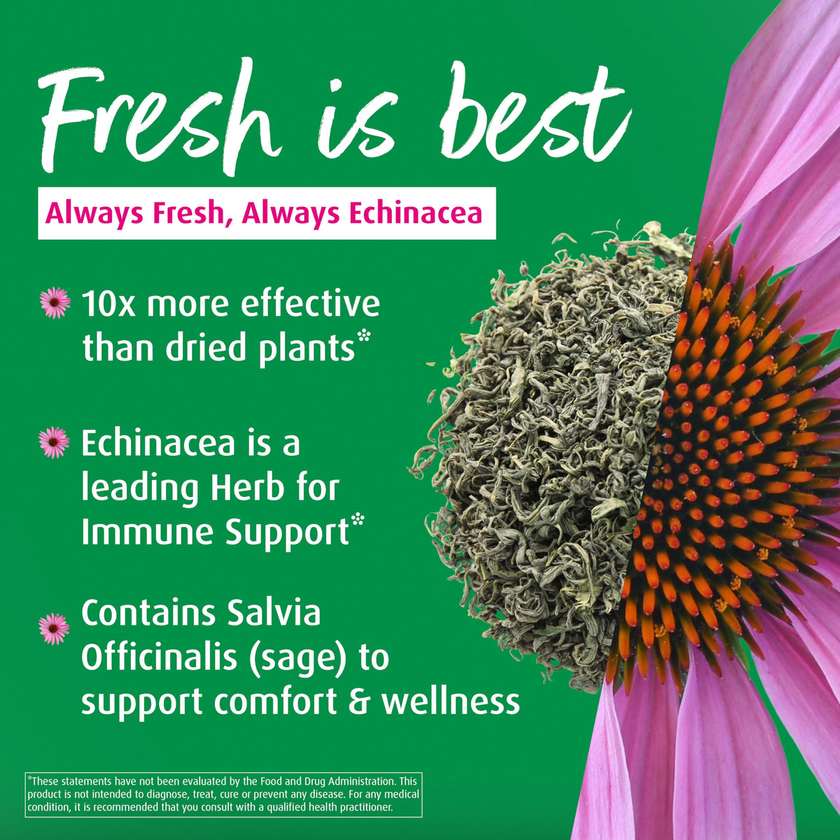 A. Vogel Echinaforce Spray Gola – Echinacea Biologica e Salvia, Sostegno Immunitario, 30 ml