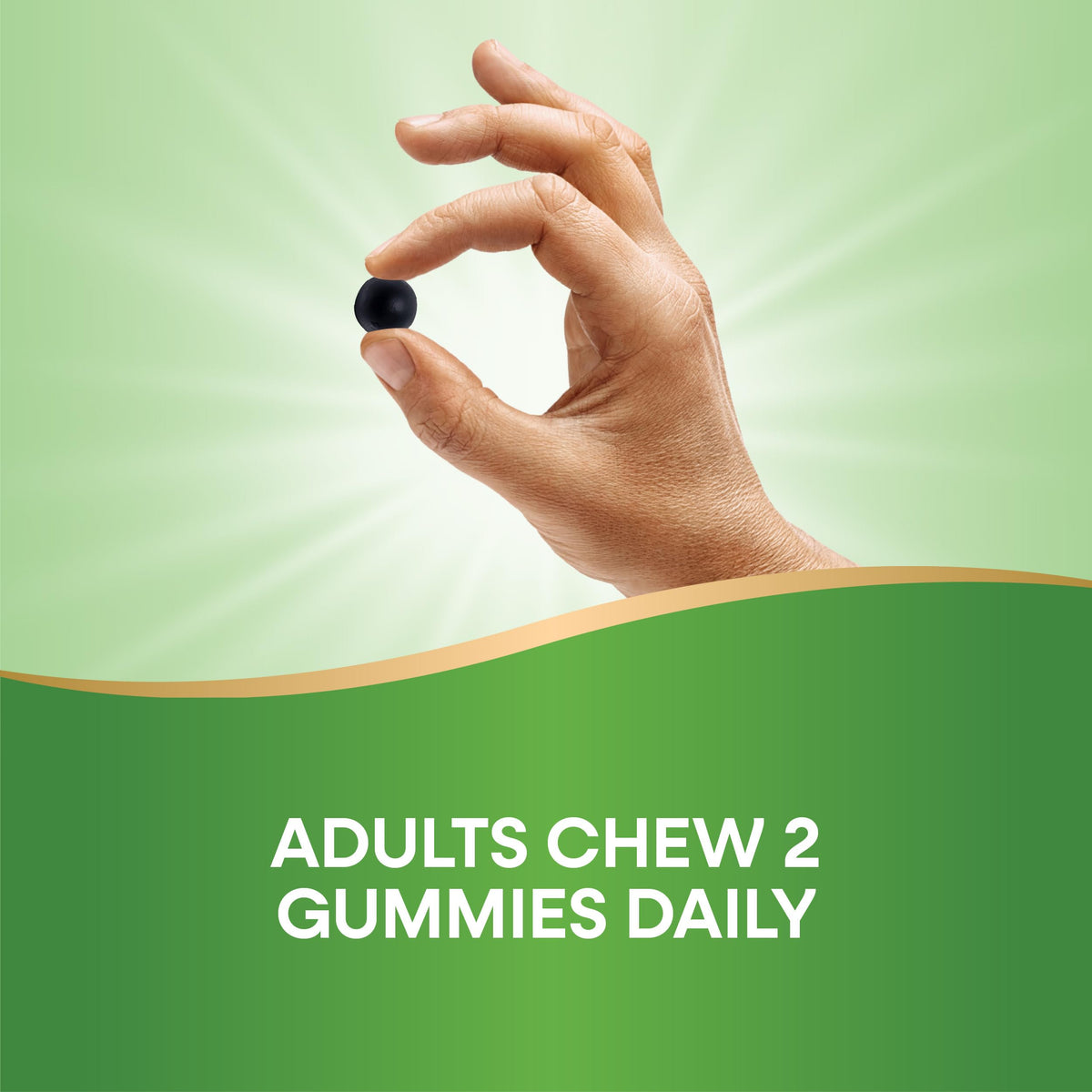 نكهة فاكهة البستان، 60 قطعة علكة - Nature's Way Chlorofresh Chlorophyll Gummies