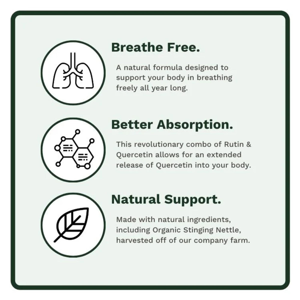 Utzy Naturals Allurtica — Sinus & Respiratory Support with Quercetin & Stinging Nettle (40 Capsules)