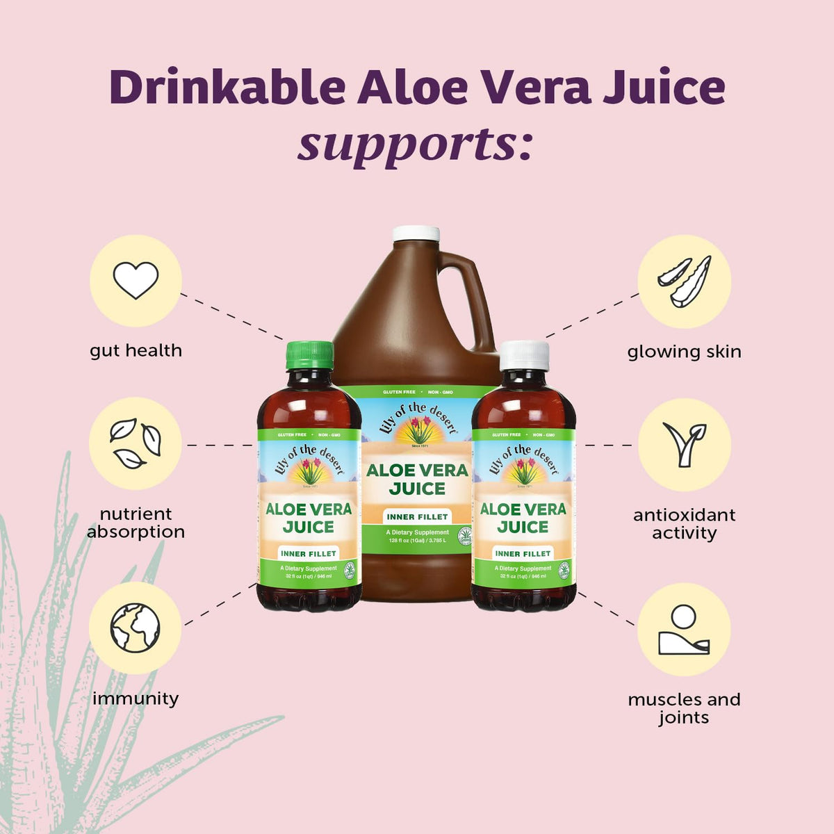 Lily of the Desert Aloe Vera Juice – Inner Fillet, Organic & Digestive Health