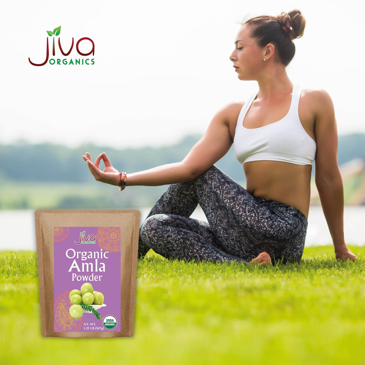 مسحوق أملا عضوي 1.25 رطل – أمالاكي نقي، مختبر معمليًا، خالٍ من الغلوتين | Jiva Organics
