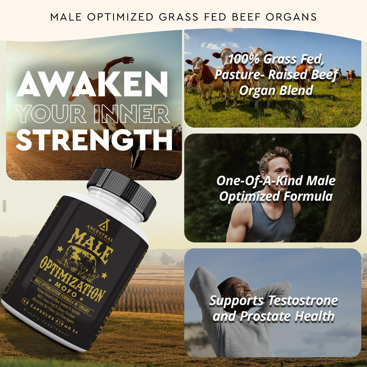 Ancestral Mofo for Men β Grass-Fed Beef Organs | Energy & Vitality