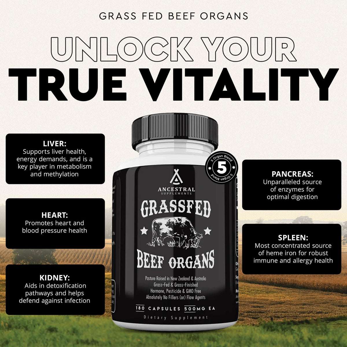 Ancestral Supplements Grass-Fed Beef Organs β Liver, Heart, Kidney, Pancreas, Spleen | 180 Capsules