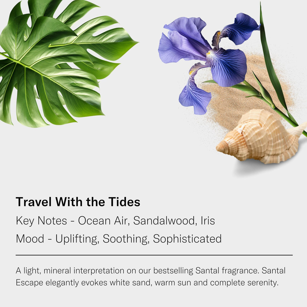 AromaTech Santal Escape Aroma Essential Oil Blend – Ocean Air, Sandalwood & Iris (16 oz / 500 mL)