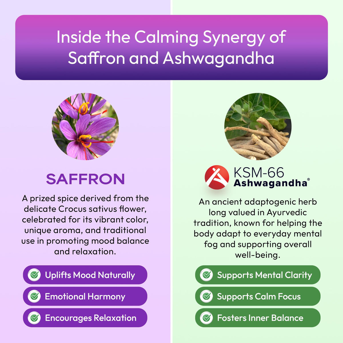 Ashwagandha & Saffron Supplement with KSM-66 β Vegan, Gluten-Free (60ml) β Mixed Berry
