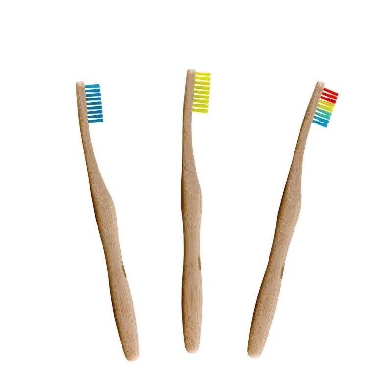 Bamboo Toothbrush Kit