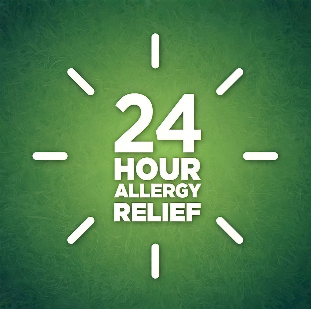berkley jensen 24 Hour Allergy Relief (365-Count) - 10 mg Cetirizine Hydrochloride Antihistamine