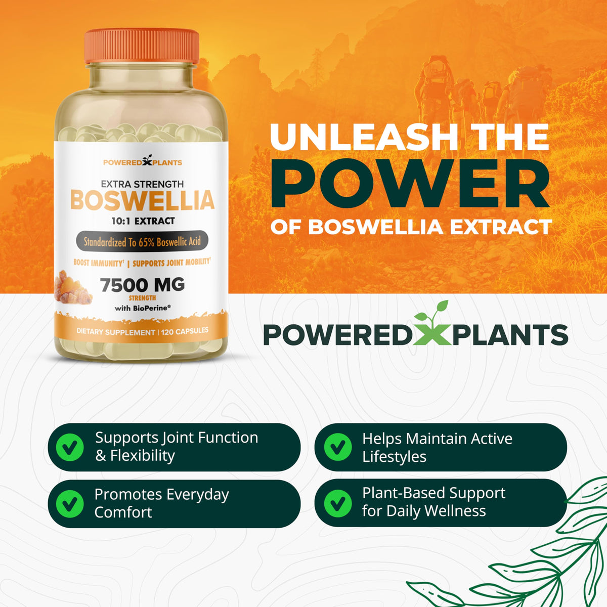 Boswellia Serrata Extract Joint Support β Powered by Plants | 65% Boswellic Acids + BioPerine | 120 Vegan Capsules