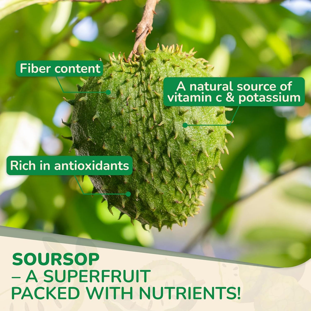 Biolore Soursop Graviola Gummies β 30 Days Supply, Sugar Free, Gluten Free, Vegan
