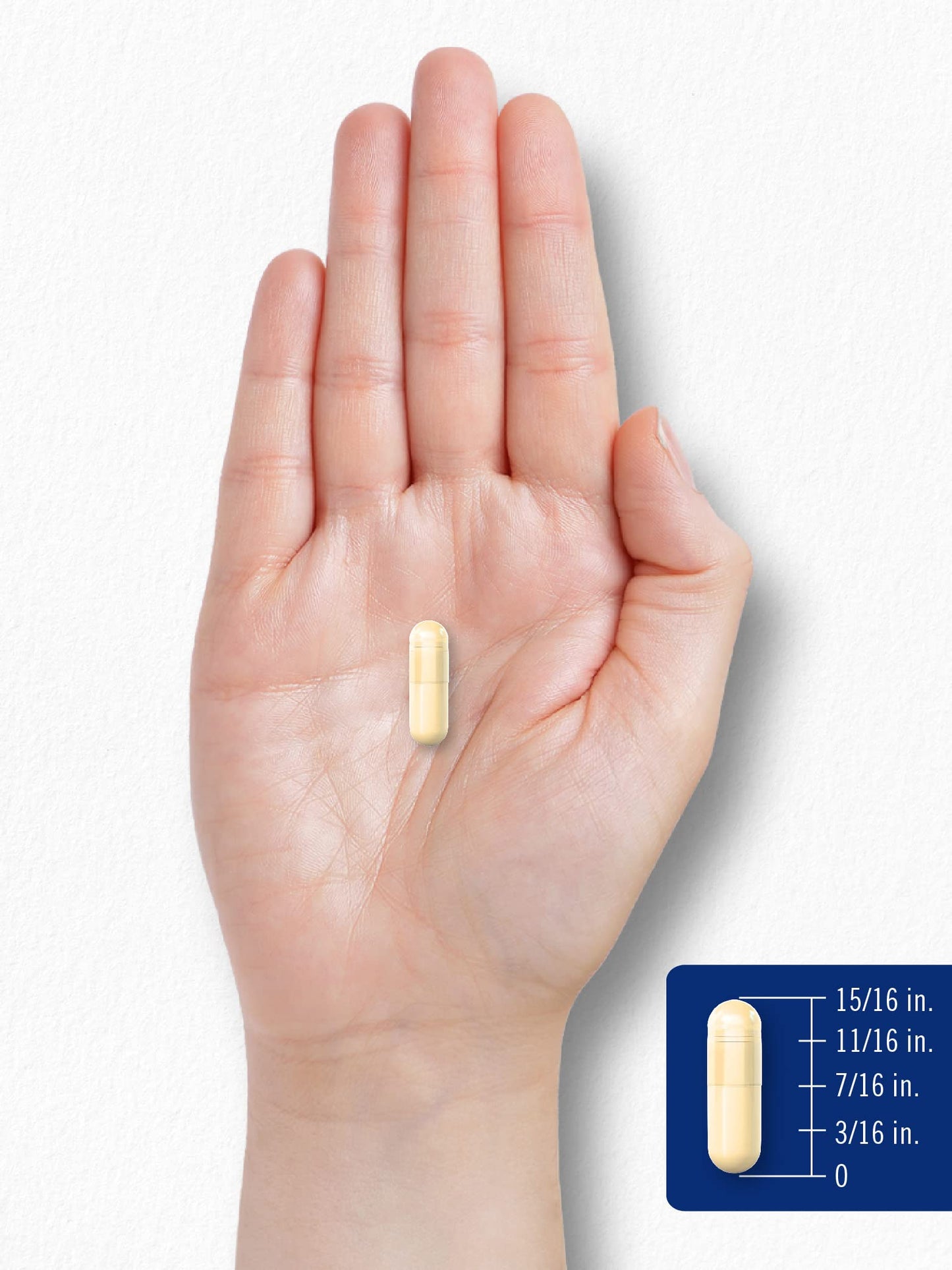Carlyle Alpha Lipoic Acid 600mg + Biotin Optimizer | 90 Capsules | Non-GMO & Gluten Free