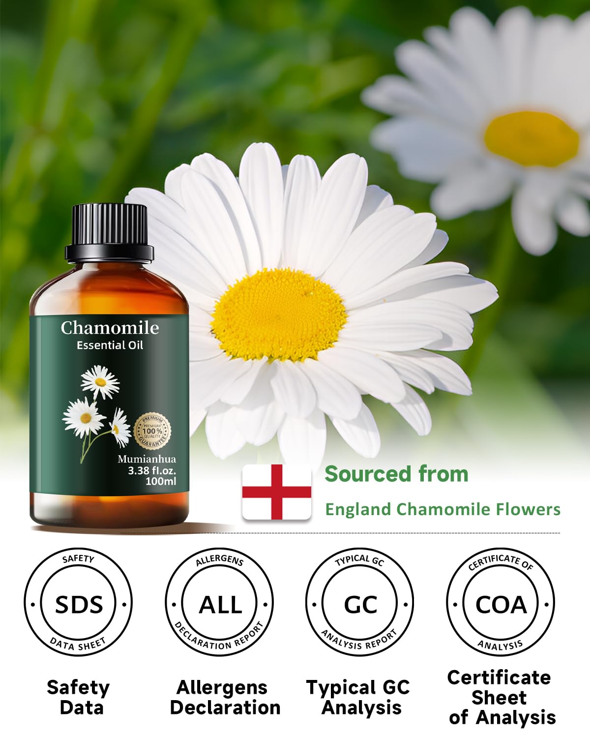 Chamomile Essential Oil Pure β Mumianhua Therapeutic Grade (3.38 oz)