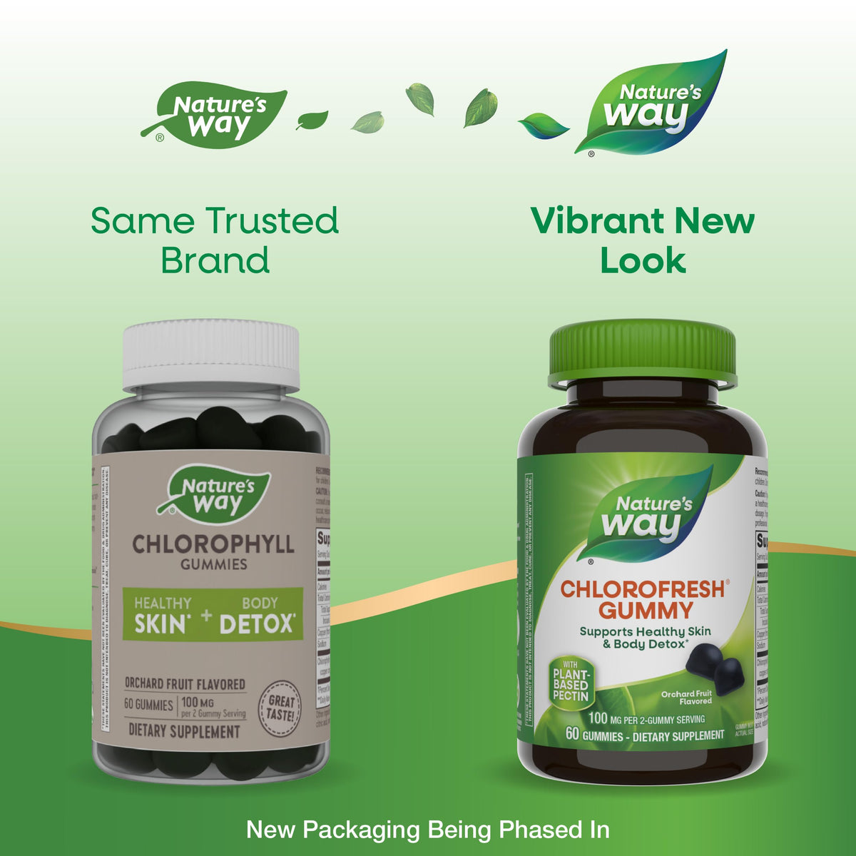 نكهة فاكهة البستان، 60 قطعة علكة - Nature's Way Chlorofresh Chlorophyll Gummies