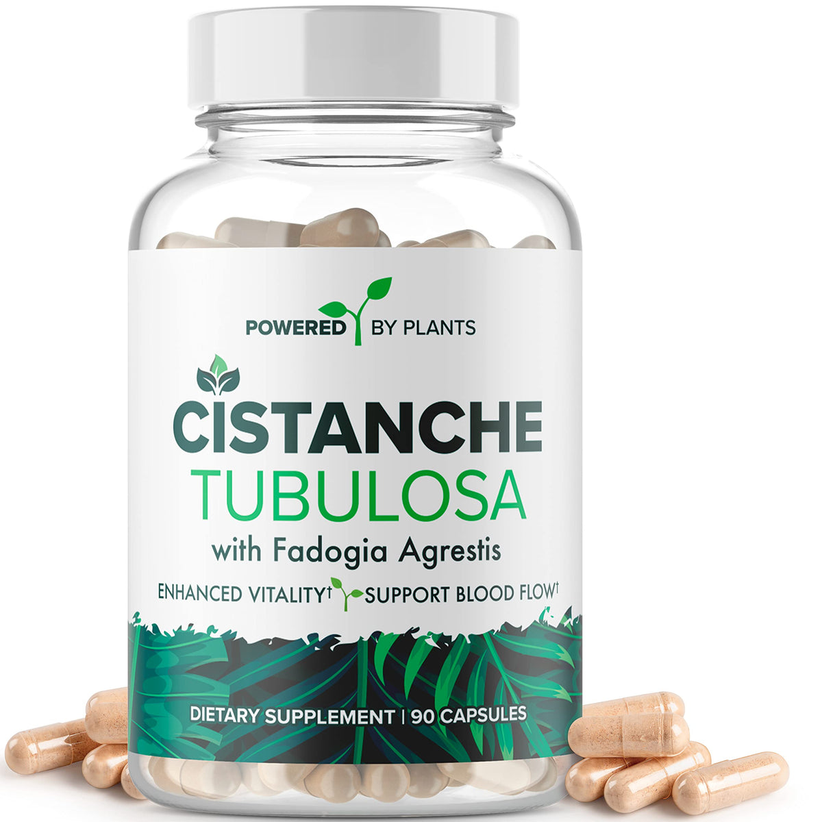 Cistanche Tubulosa with Fadogia Agrestis β Powered X Plants, 90 Servings