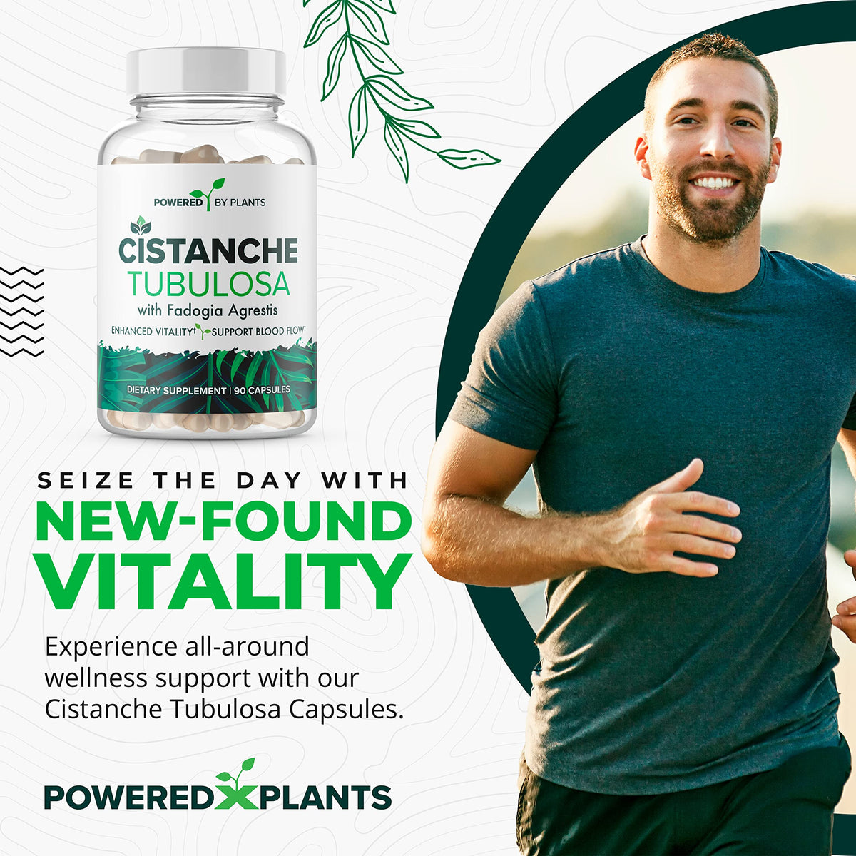 Cistanche Tubulosa with Fadogia Agrestis β Powered X Plants, 90 Servings