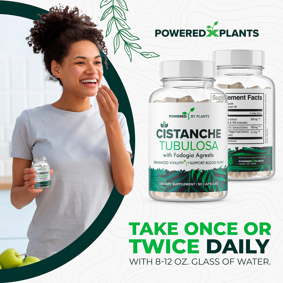 Cistanche Tubulosa with Fadogia Agrestis β Powered X Plants, 90 Servings