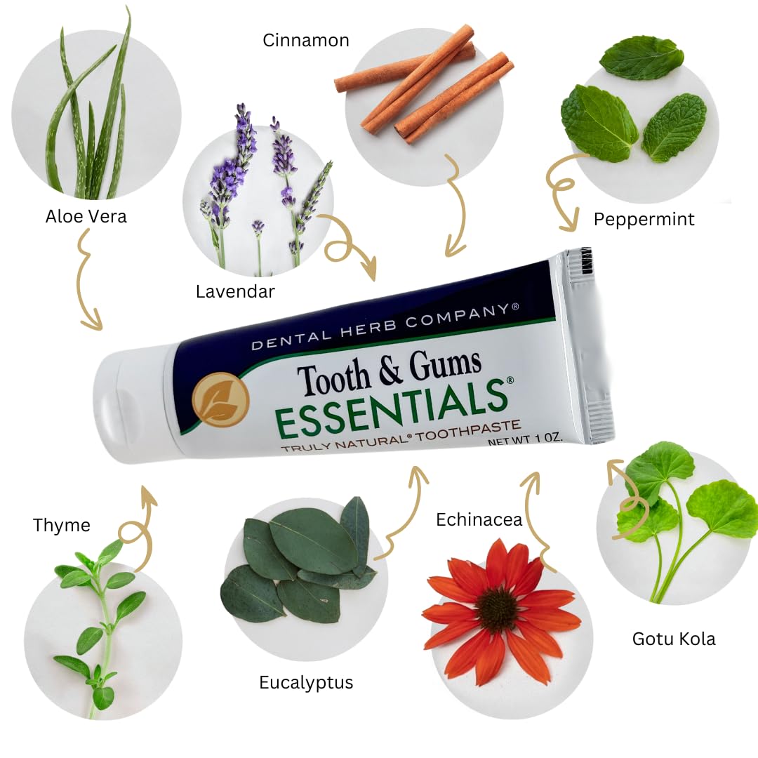 Dental Herb Company Travel Toothpaste 1oz (3 Pack) β Fluoride-Free & SLS-Free