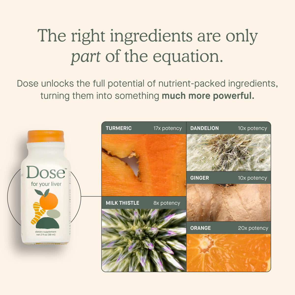 Dose for Your Liver Cleanse Detox & Repair β Organic Milk Thistle Turmeric Blend, 16oz Bottle, 3 Pack