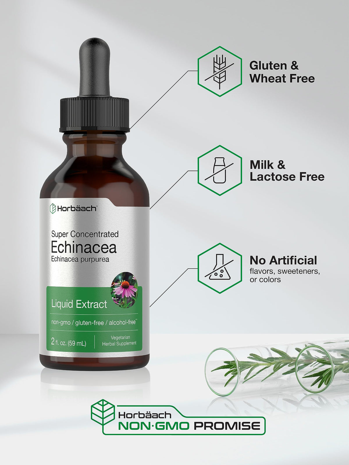 Horbaach Echinacea Drops Tincture - 2 fl oz | Alcohol-Free, Vegetarian, Non-GMO & Gluten Free