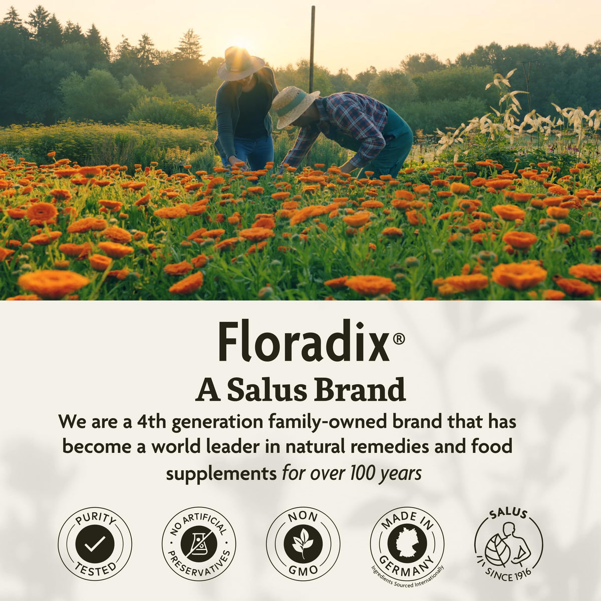 Floradix Iron & Herbs β Liquid Iron Supplement with Vitamin C & B Complex | 23.7 fl oz