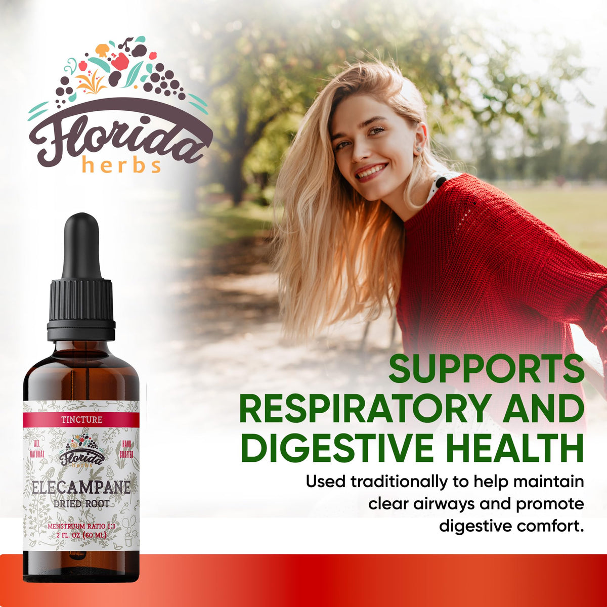 FLORIDA HERBS Elecampane Tincture Organic Elecampane Extract (Inula Helenium) Dried Root - Non-GMO 700 mg 2 oz (60 ml)