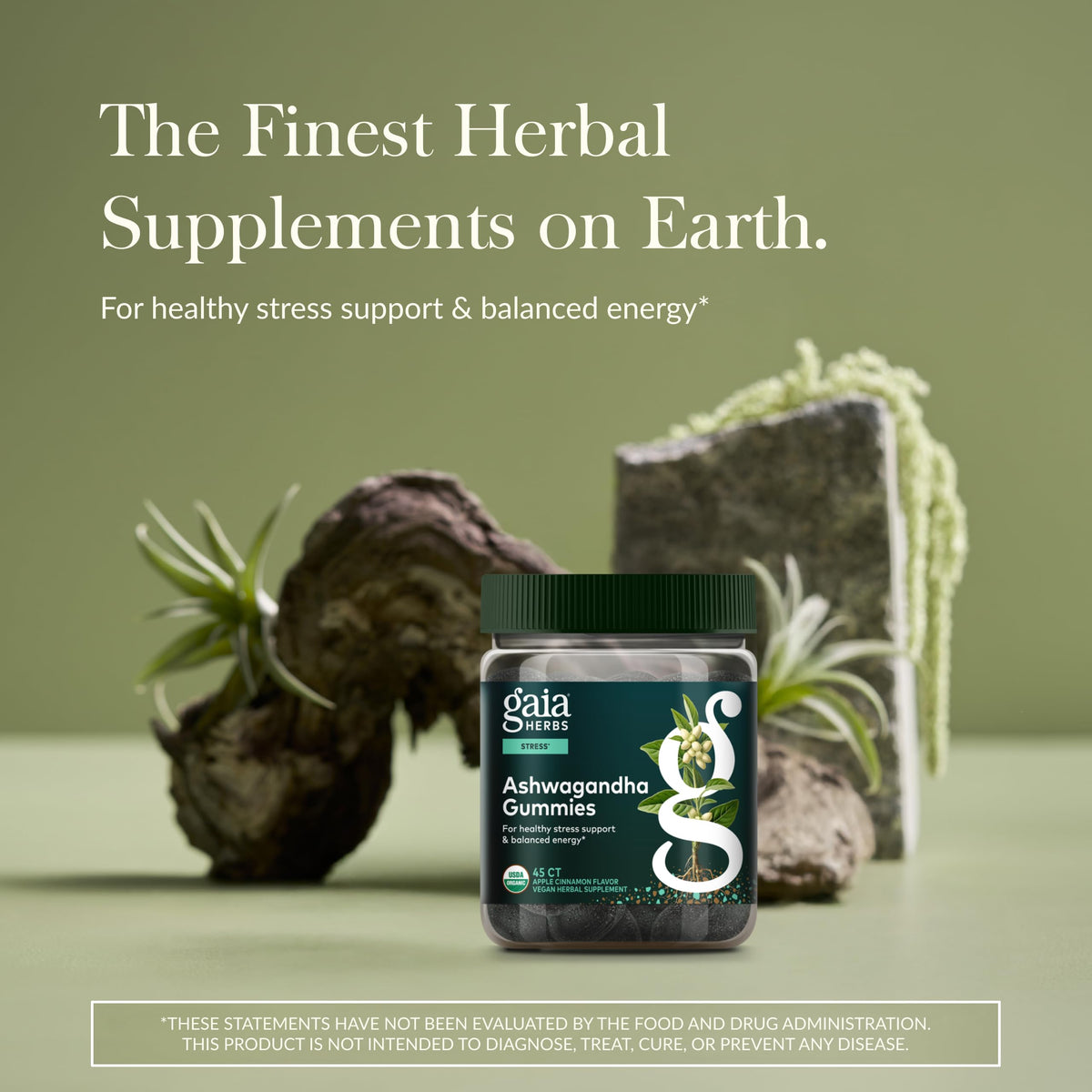 Gaia Herbs أقراص أشواغاندا عضوية قابلة للمضغ - دعم التوتر* | بالقرفة والزنجبيل - خالية من الغلوتين ونباتية - 45 قطعة