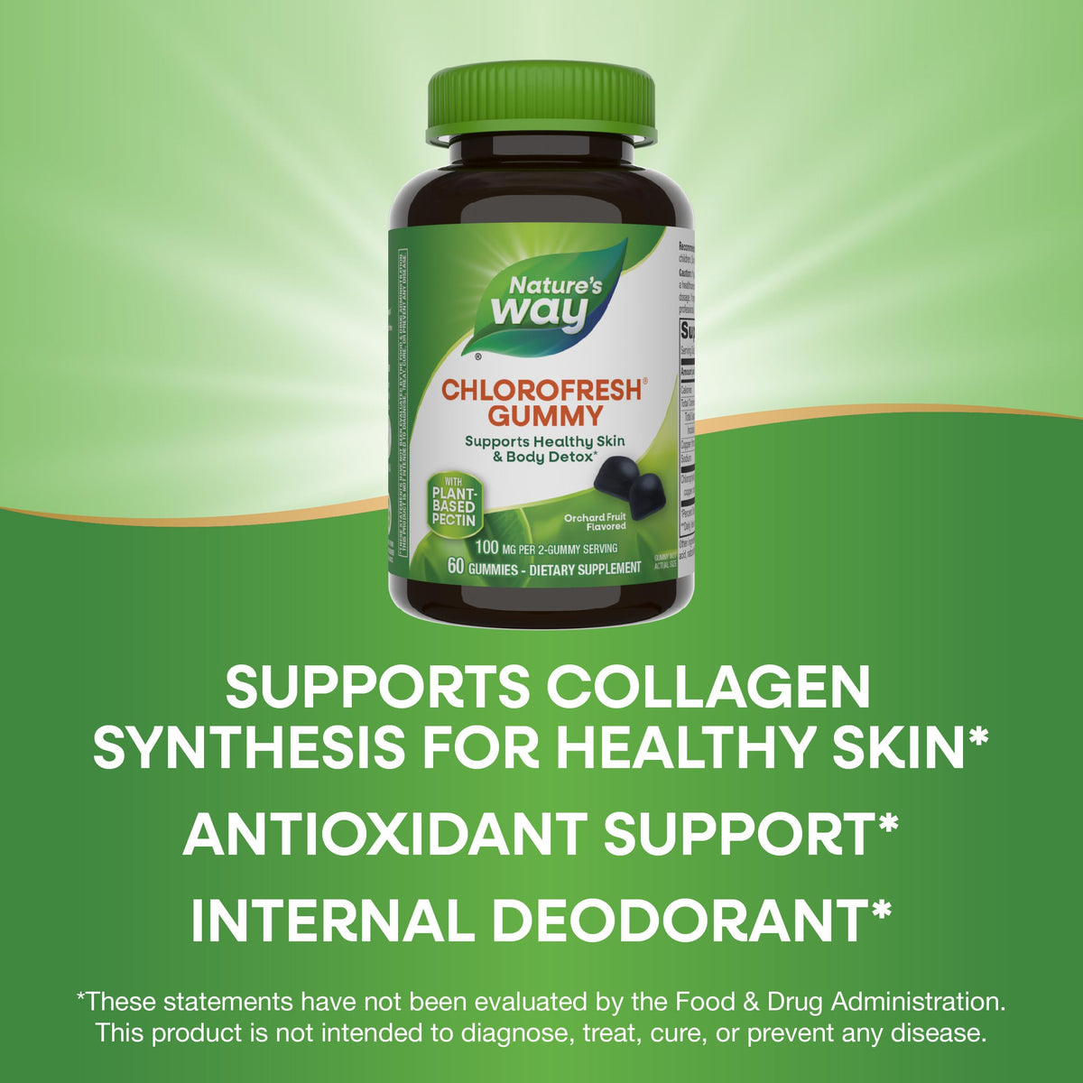 نكهة فاكهة البستان، 60 قطعة علكة - Nature's Way Chlorofresh Chlorophyll Gummies