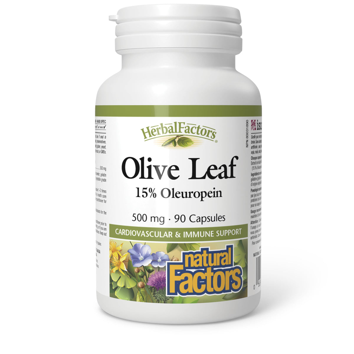 HerbalFactors by Natural Factors - Olive Leaf 500 mg | Natural Wellness Formula | 90 Capsules
