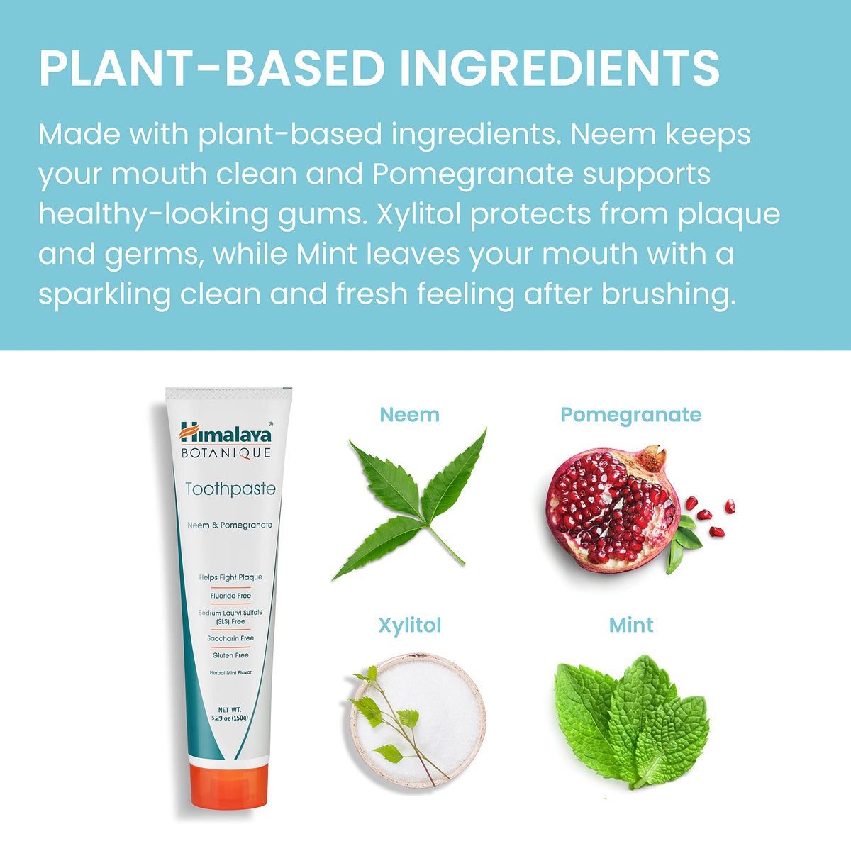 Himalaya Botanique Neem & Pomegranate Toothpaste β Fluoride Free, SLS Free, Vegan, Cruelty Free, Mint Flavor, 5.29 oz, 4 Pack