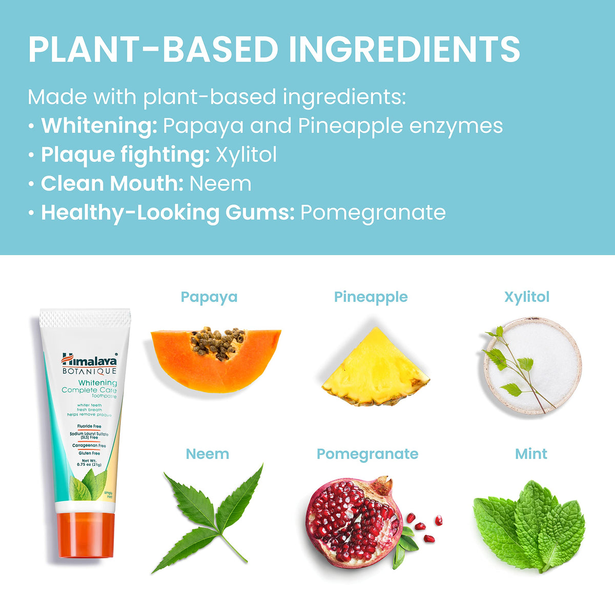 Himalaya Botanique Whitening Complete Care Travel Toothpaste – Mint, Fluoride Free, Vegan (0.74 oz x10)