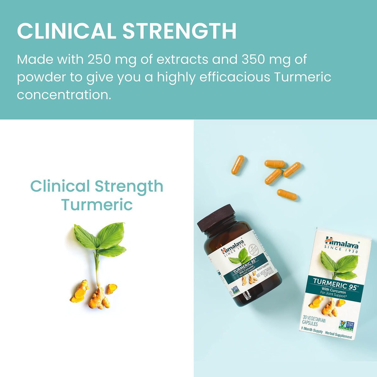 Himalaya Turmeric 95 – 600 mg، 30 كبسولة | دعم المفاصل، 95% كركمينويد