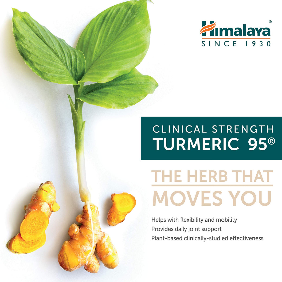 Himalaya Turmeric 95 – 600 mg، 30 كبسولة | دعم المفاصل، 95% كركمينويد