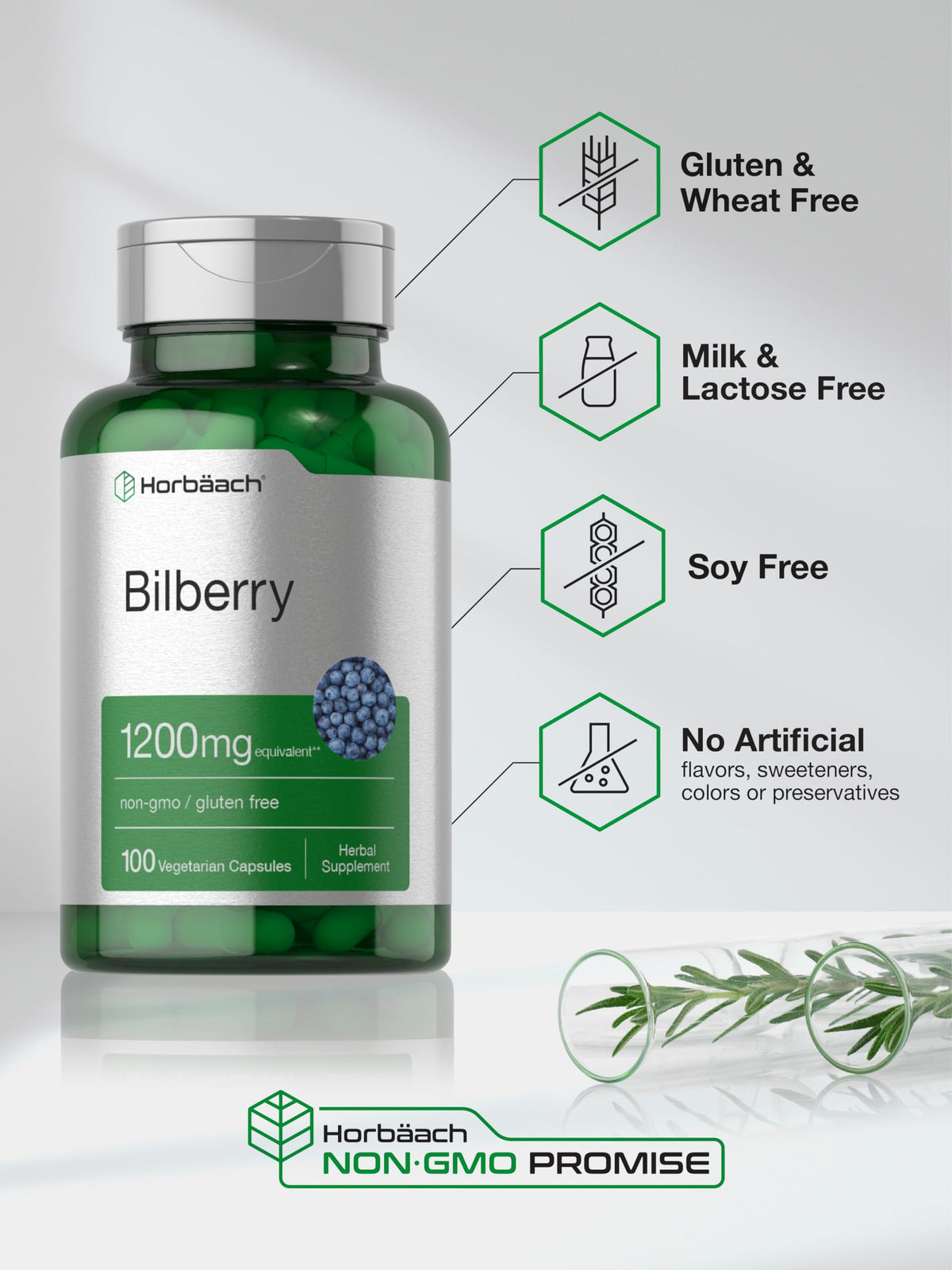 Horbäach Bilberry Extract 1200mg | 100 Vegetarian Capsules | Gluten Free
