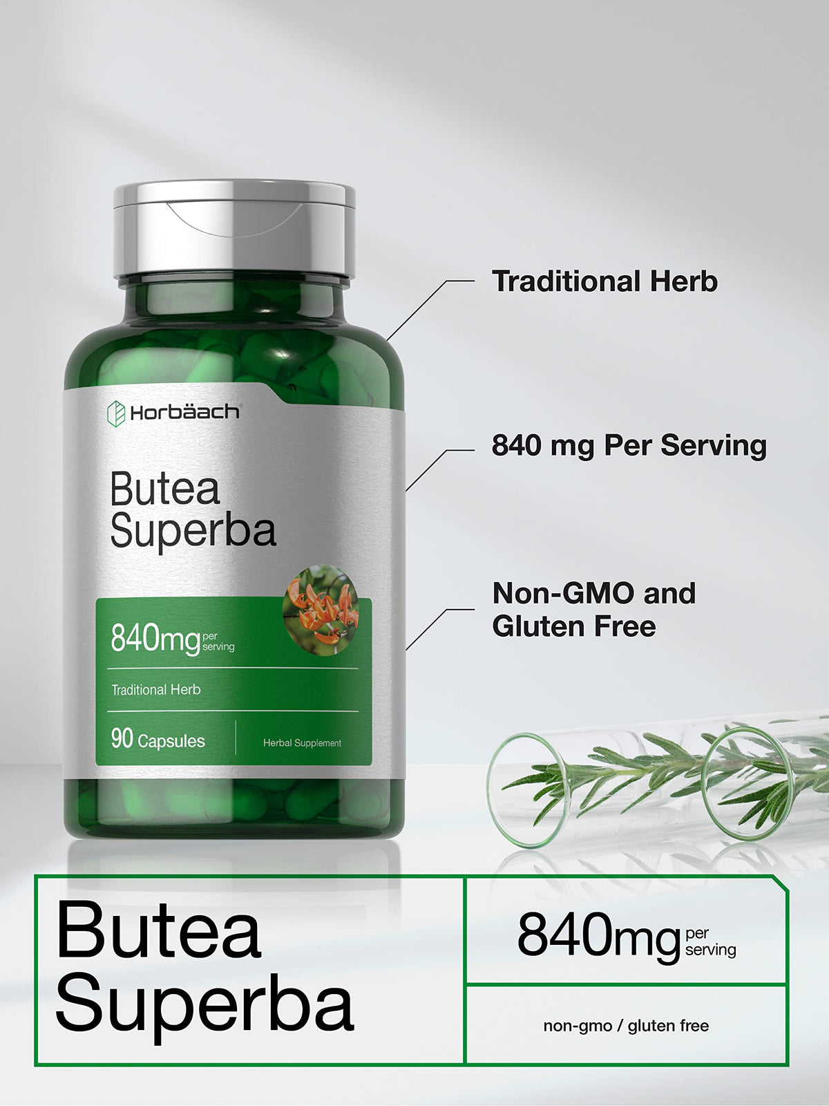 Horbäach Butea Superba Root 840mg | 90 كبسولة | أداء الذكور | غير معدلة وراثيًا، خالي من الغلوتين