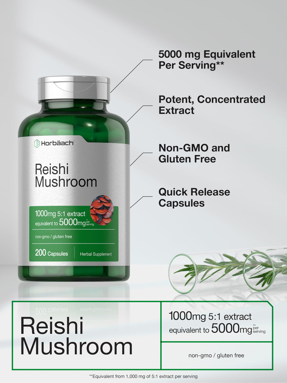 HorbΓ€ach Reishi Mushroom Capsules | 200 Count | Non-GMO and Gluten Free Extract Supplement