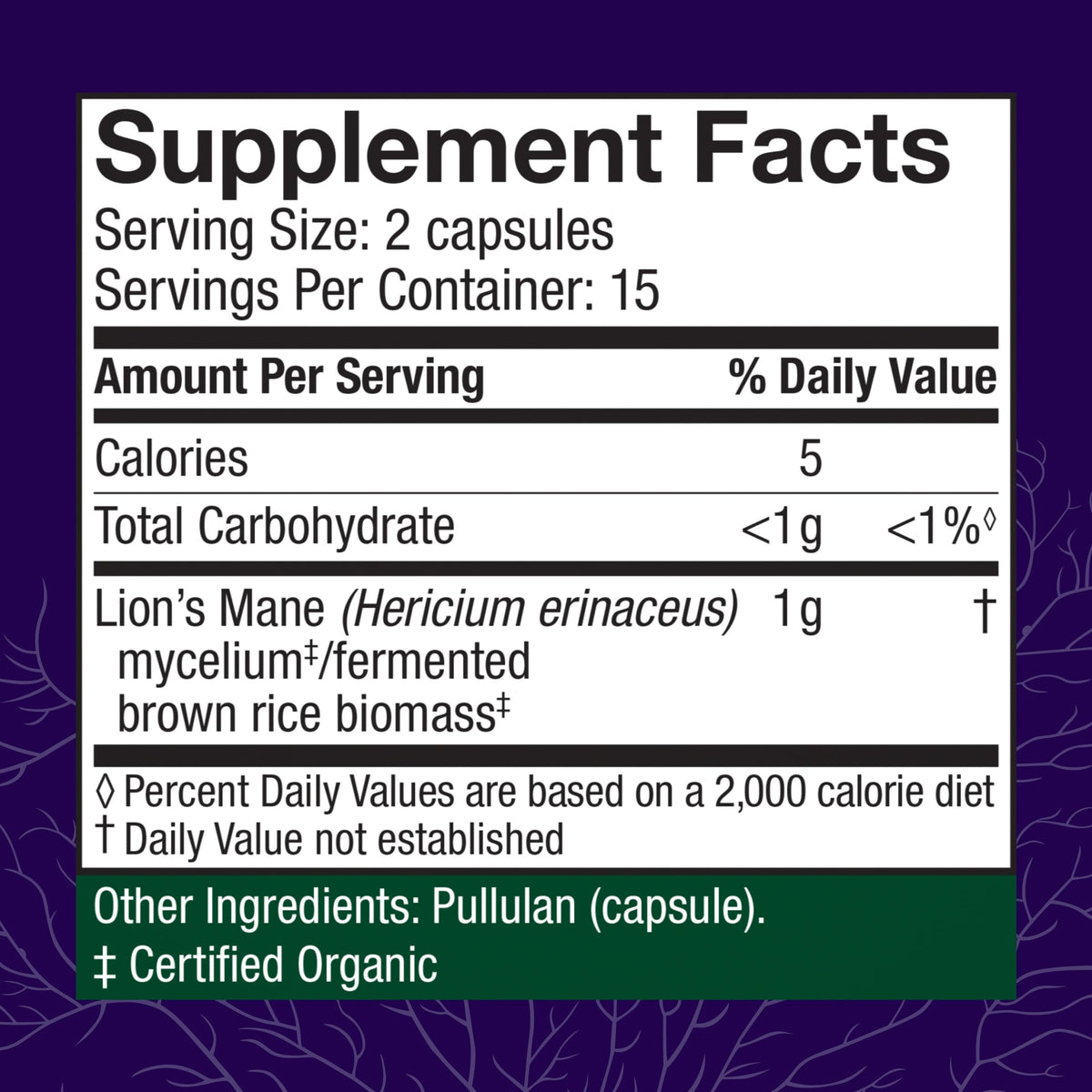 Host Defense Mushrooms Lion's Mane β Brain Health & Focus Capsules (30 Capsules / 15 Servings)