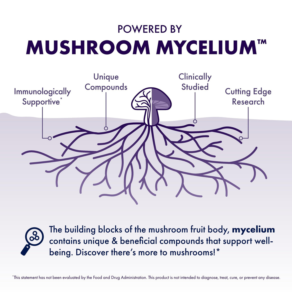 Host Defense Mushrooms Lion's Mane β Brain Health & Focus Capsules (30 Capsules / 15 Servings)