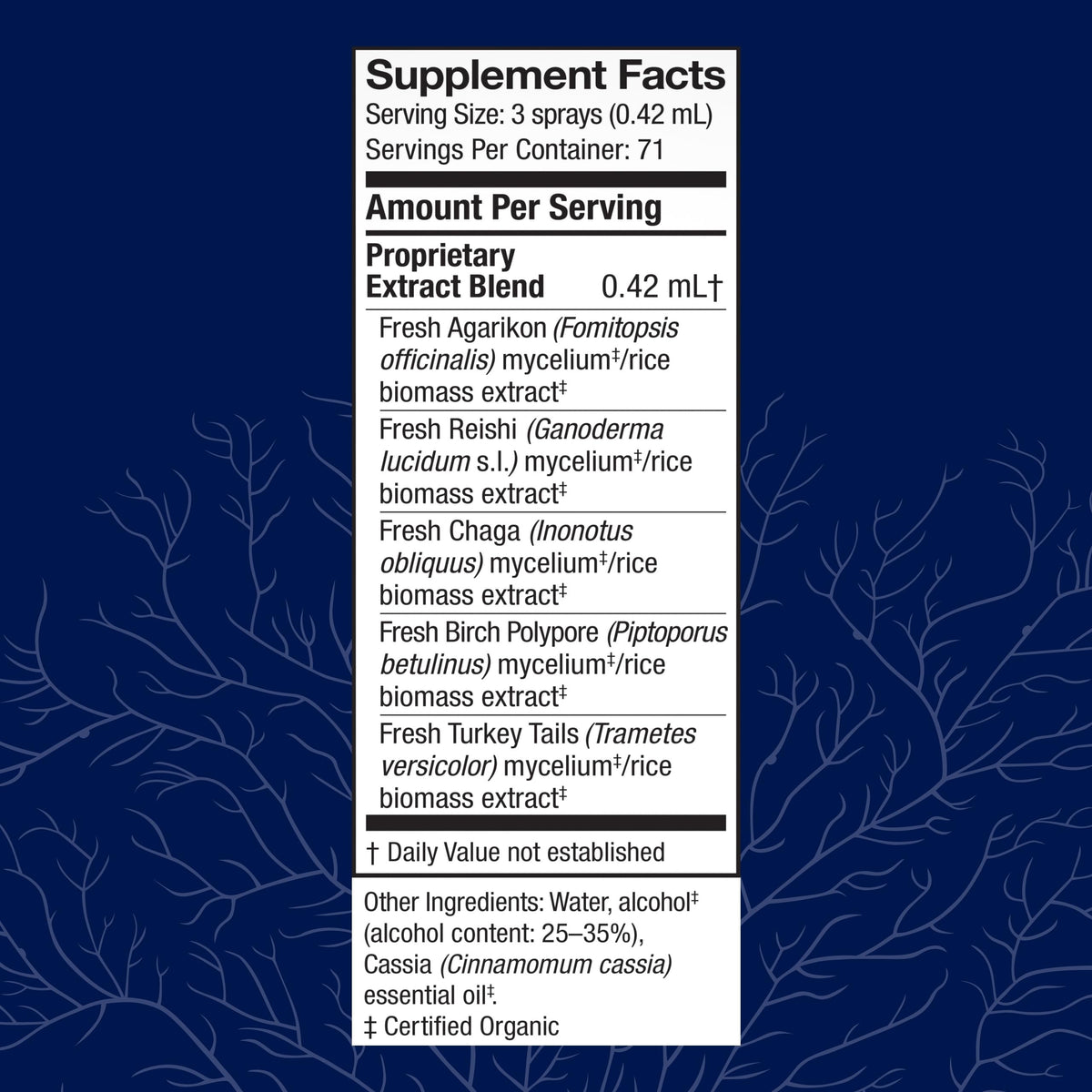 Host Defense MycoShield Throat Spray - Immune Health Support - Mushroom Supplement with Chaga, Reishi, Turkey Tail - Cinnamon Flavor - 1 fl oz (71 Servings)