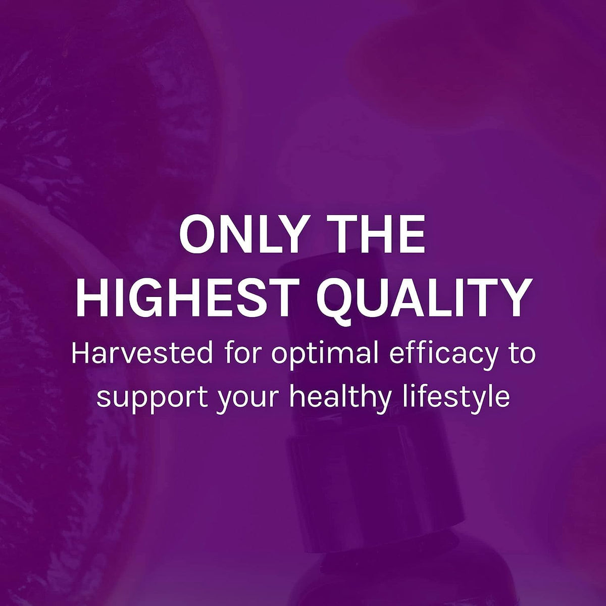 Host Defense MycoShield بخاخ الحلق – دعم المناعة، نعناع، 1 أونصة سائلة