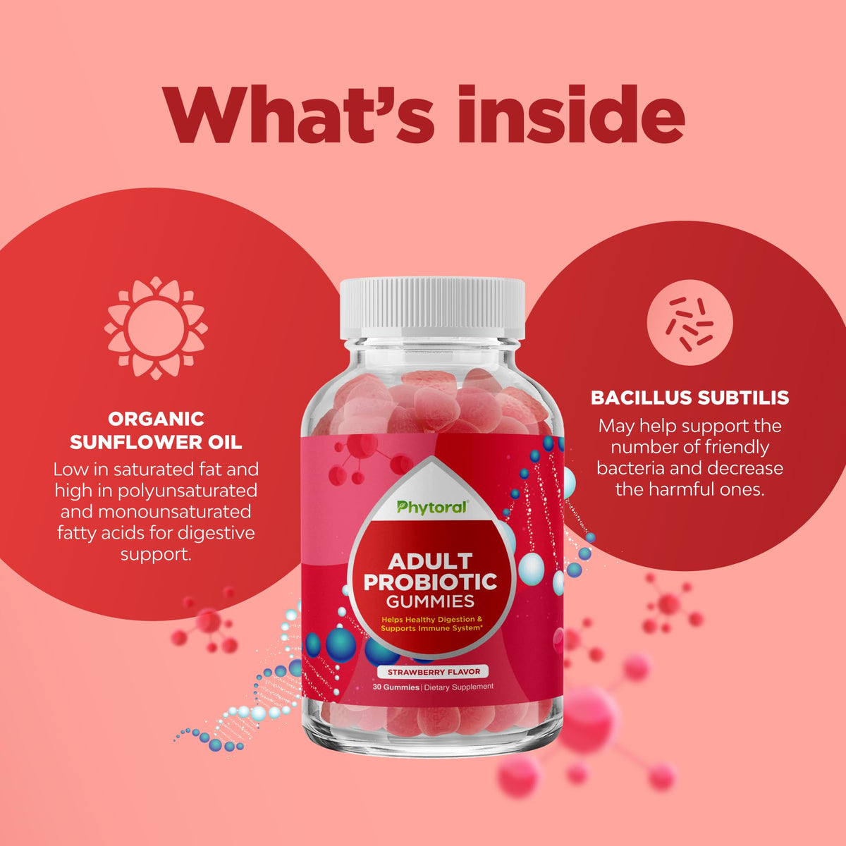 Healthy Gut Probiotic Gummies for Adults β 5 Billion CFU | Organic Probiotics for Digestive Health & Immune Support