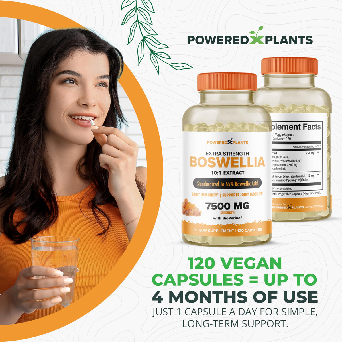 Boswellia Serrata Extract Joint Support β Powered by Plants | 65% Boswellic Acids + BioPerine | 120 Vegan Capsules
